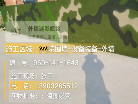 咸宁 迷彩漆喷涂价格（按平方米计费）