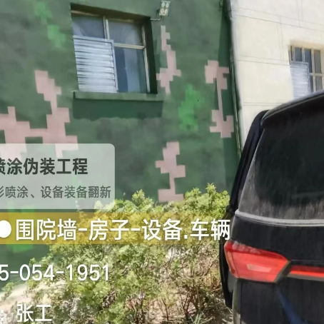 咸宁数码迷彩漆施工
